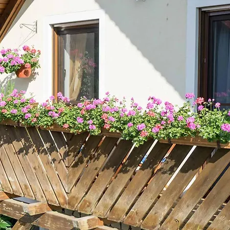 Appartement Sonja Mit Westbalkon Neualbenreuth